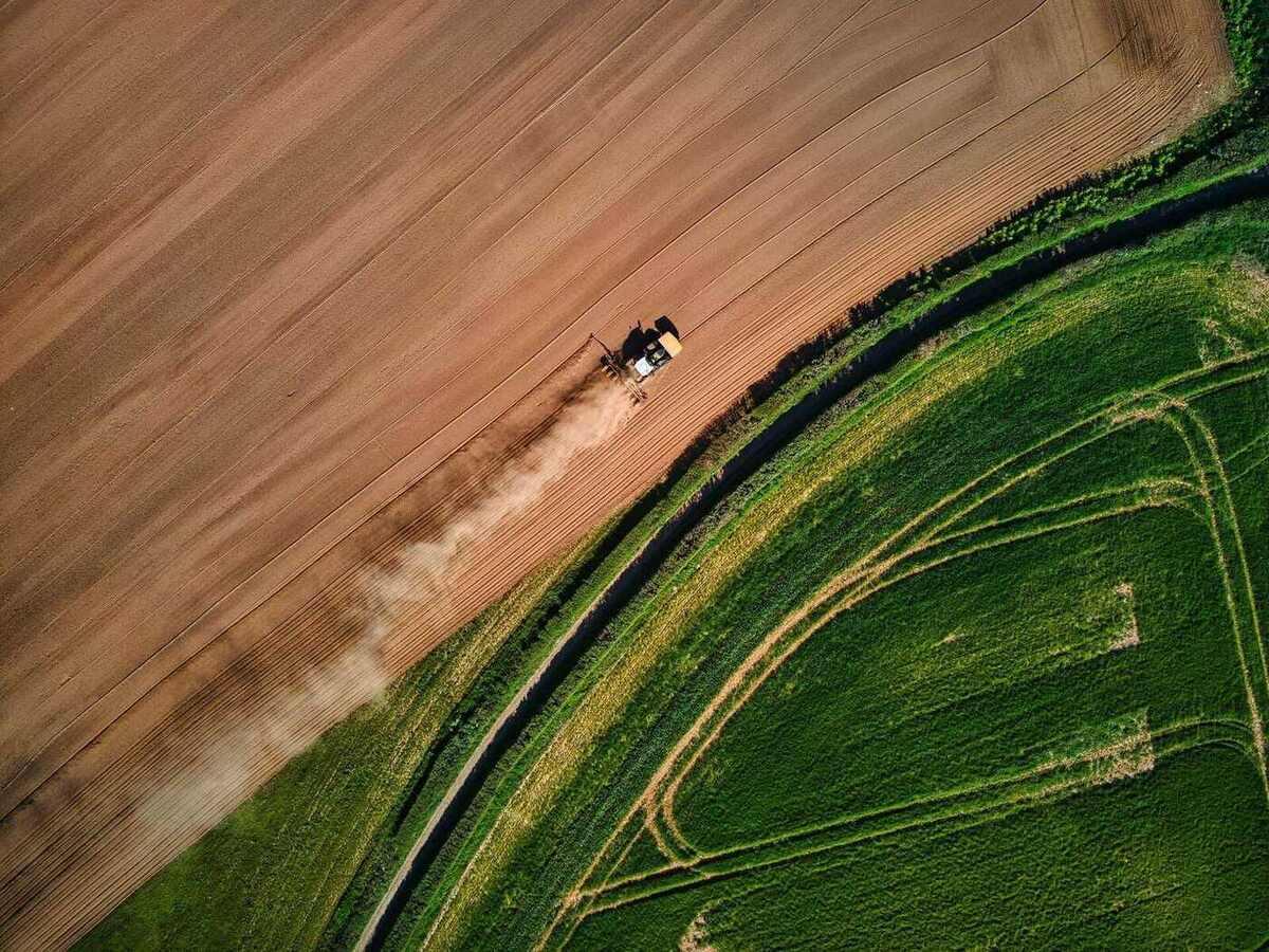 Vista aérea de lavouras brasileiras divididas em talhões